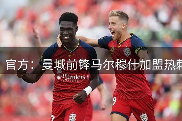 官方：曼城前锋马尔穆什加盟热刺；据悉先租后买总价6000万镑