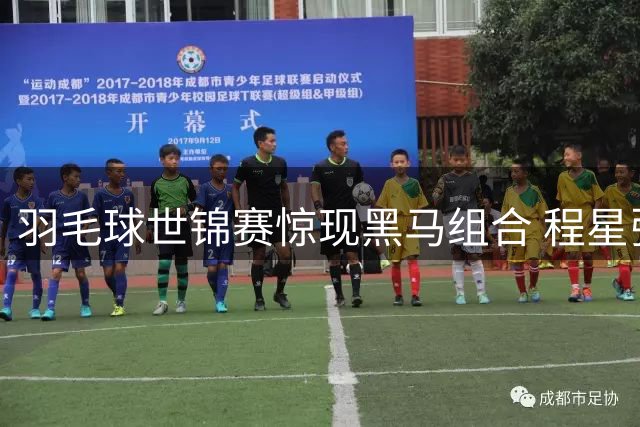 羽毛球世锦赛惊现黑马组合 程星张驰意外获正赛席位