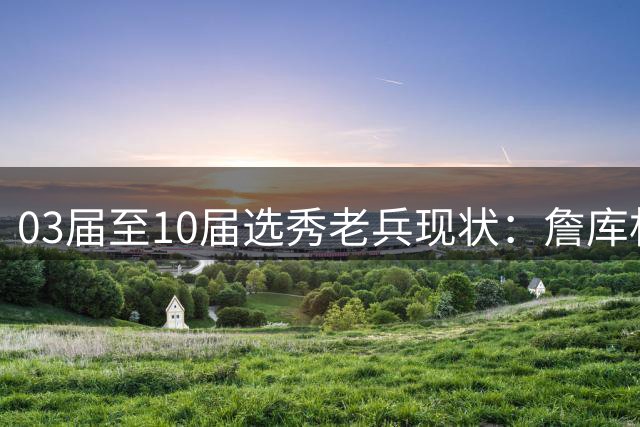 03届至10届选秀老兵现状：詹库杜等15人坚守联盟